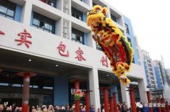 醒狮贺岁，BBIN宝盈集团(中国)官方网站2019年开工大吉