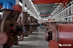 BBIN宝盈集团(中国)官方网站被评为2019年度三水区骨干企业